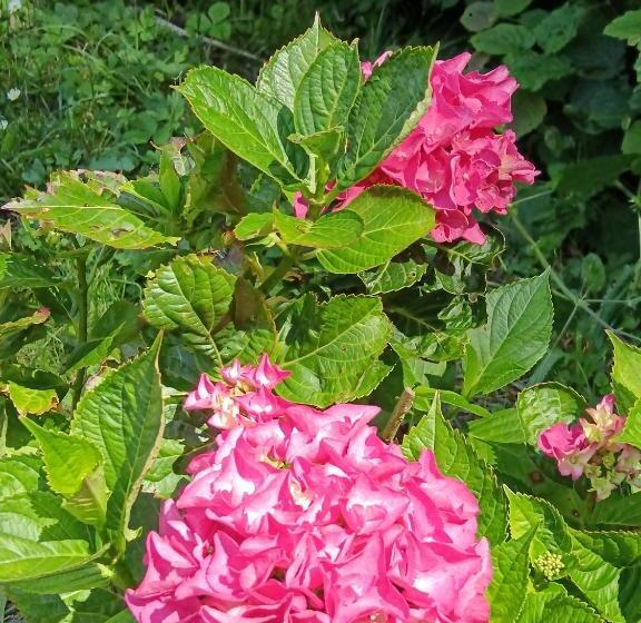 צימר Le Moulin De Saubrigues