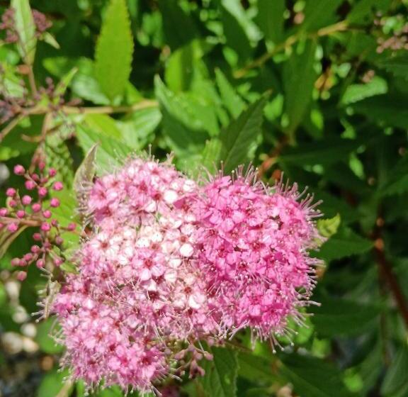 צימר Le Moulin De Saubrigues