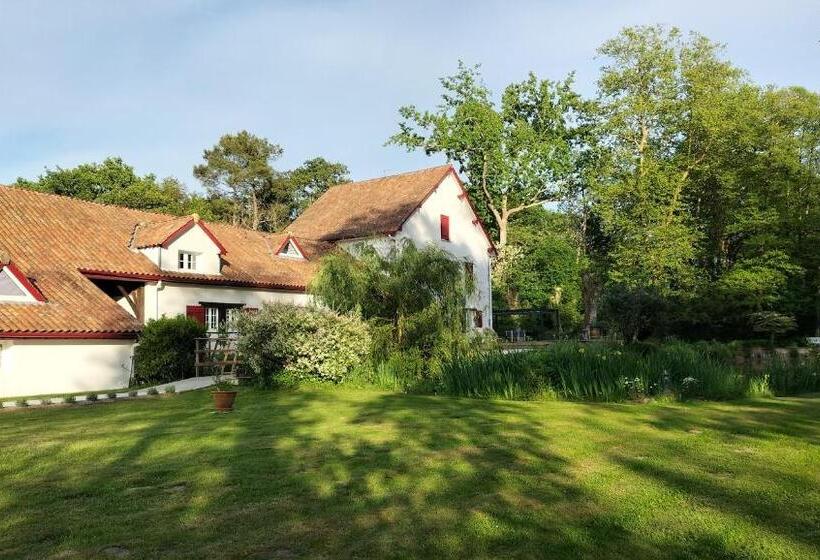 민박 Le Moulin De Saubrigues
