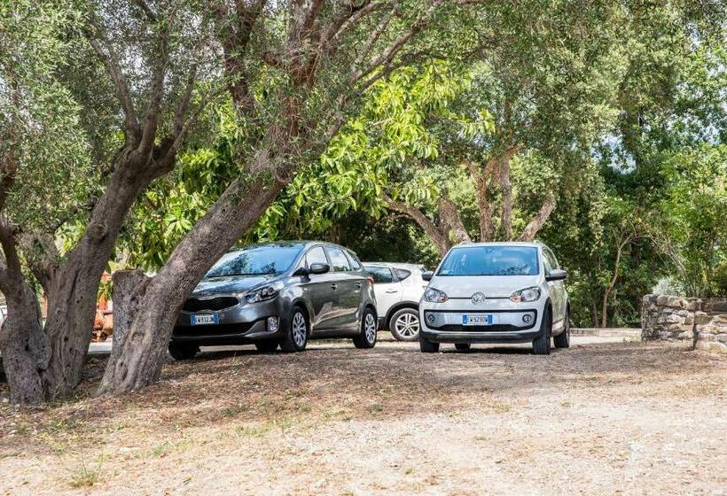 ベッドアンドブレックファースト Le Voyageur Cilento