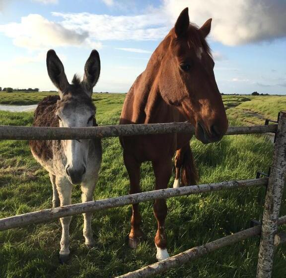 צימר Les Pensions Du Joslin