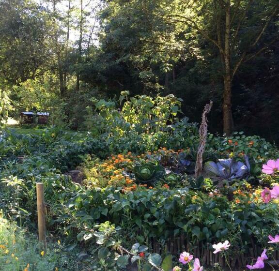 민박 Les Sittelles De Bamboche