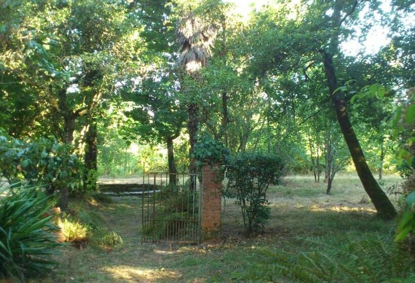 ベッドアンドブレックファースト Maison Doat 1823