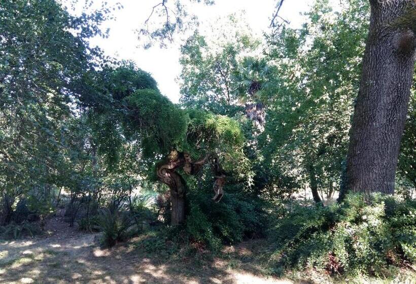 ベッドアンドブレックファースト Maison Doat 1823