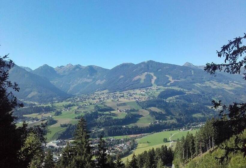 住宿加早餐  Pension Adlerhorst