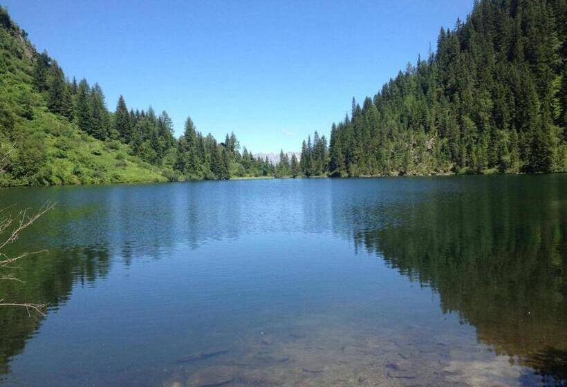 住宿加早餐  Pension Adlerhorst