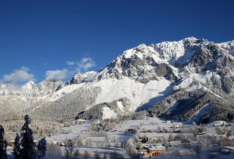 住宿加早餐  Pension Adlerhorst