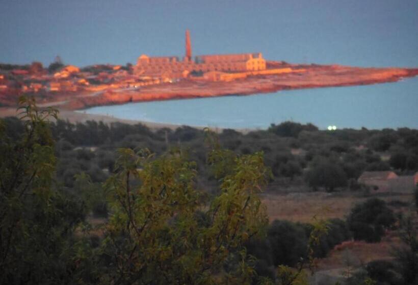 住宿加早餐  Poggio Bellavista