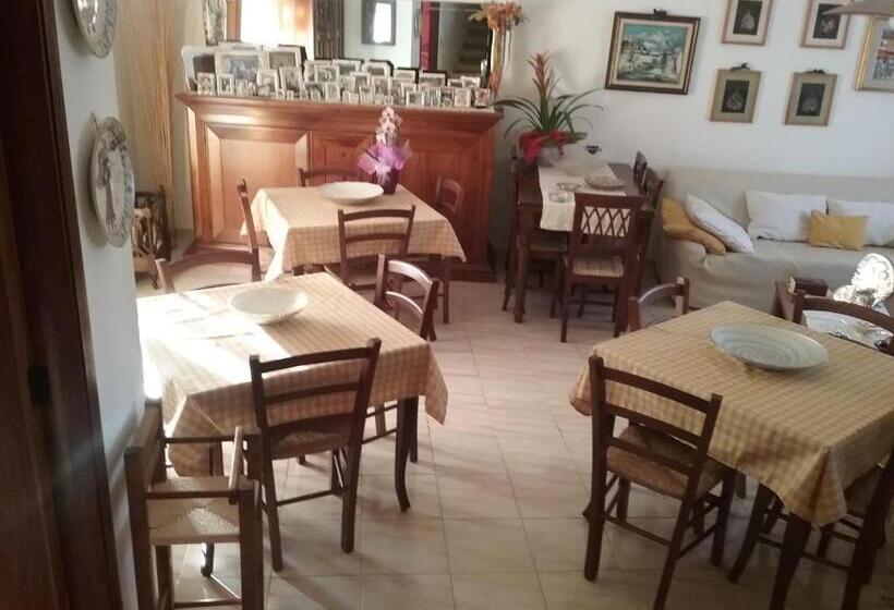 צימר Su Cunventu