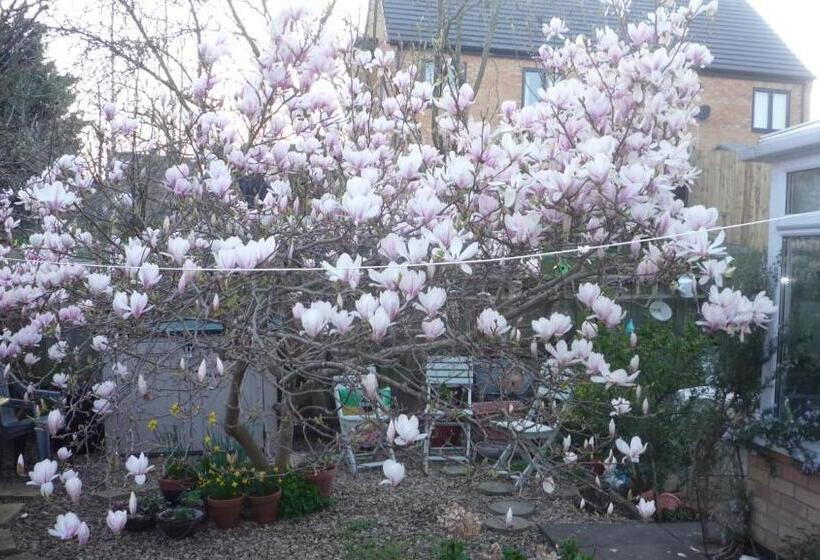 مبيت وإفطار The Little Annexe