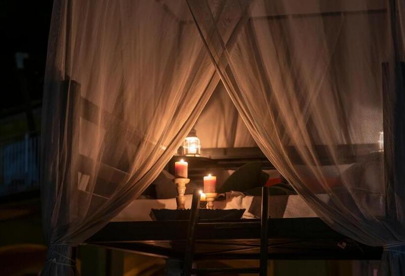 تختخواب و صبحانه Tra Gli Alberi E Il Mare