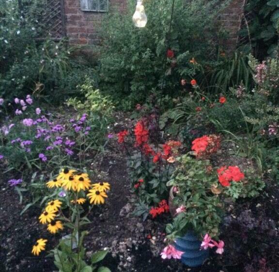 ベッドアンドブレックファースト Chez Jo Apartments