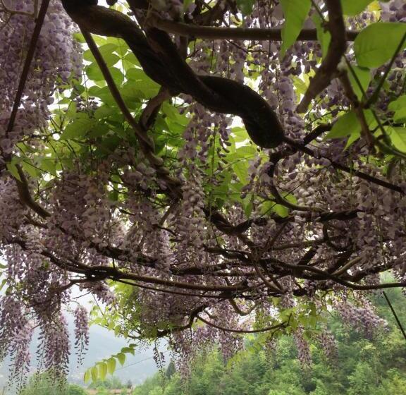 בית מלון כפרי Albergo Trattoria Dazze