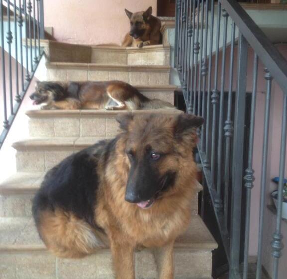 בית מלון כפרי Albergo Trattoria Dazze