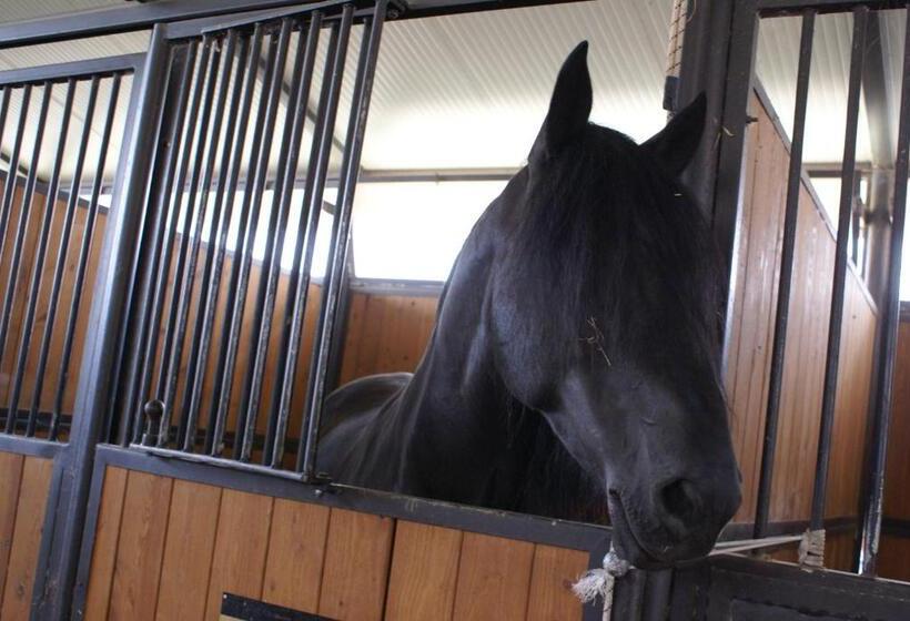 Hôtel Agriturismo Murà