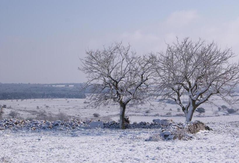 酒店 Agriturismo Murà