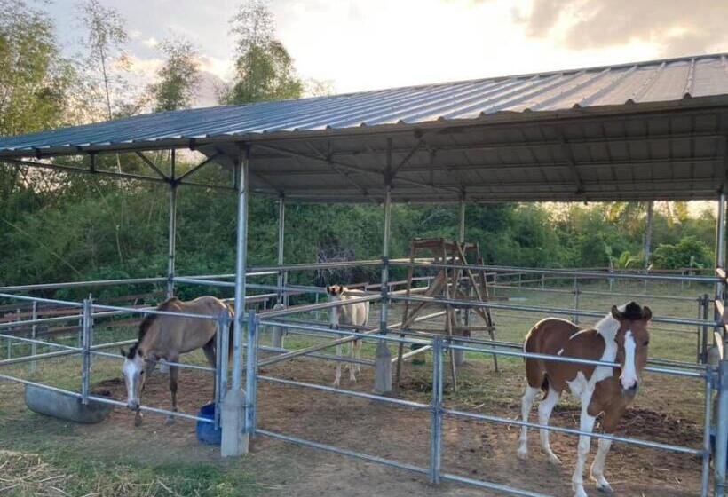 בית מלון כפרי Ataalaya Farmhouse