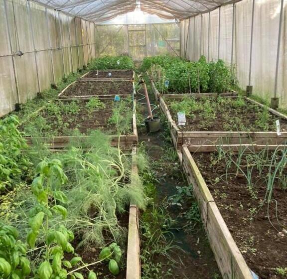 בית מלון כפרי Ataalaya Farmhouse