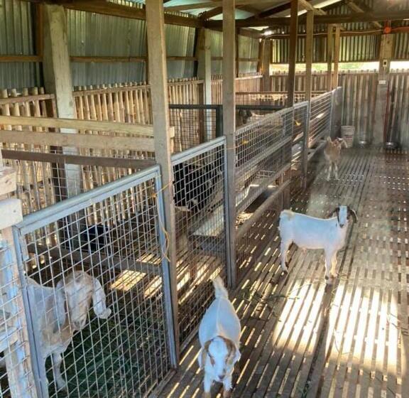 בית מלון כפרי Ataalaya Farmhouse