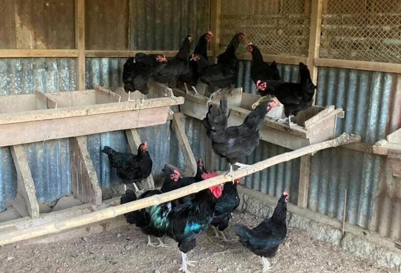 בית מלון כפרי Ataalaya Farmhouse