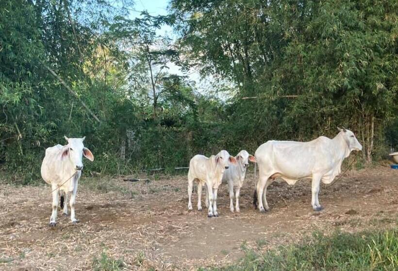 בית מלון כפרי Ataalaya Farmhouse