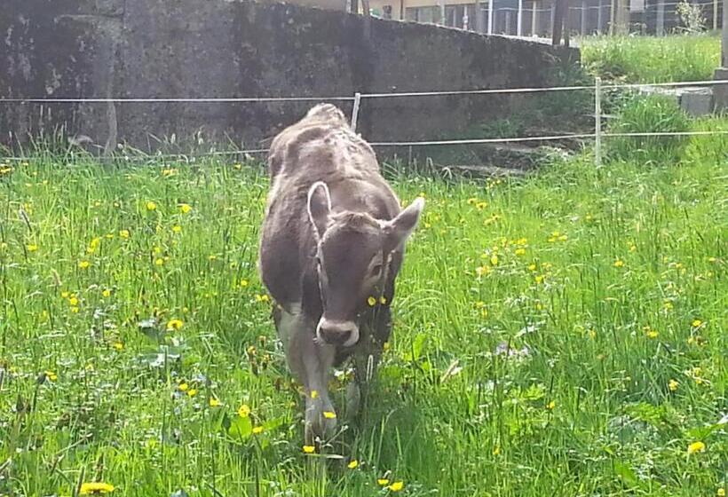 فندق Bauernhof Dünser