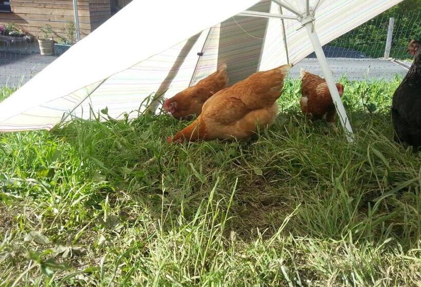 فندق Bauernhof Dünser