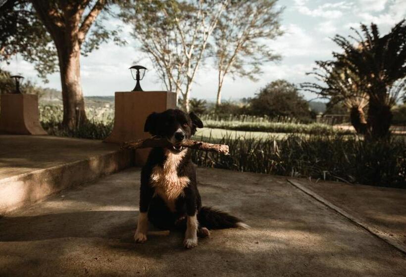 בית מלון כפרי Boschoek Farm