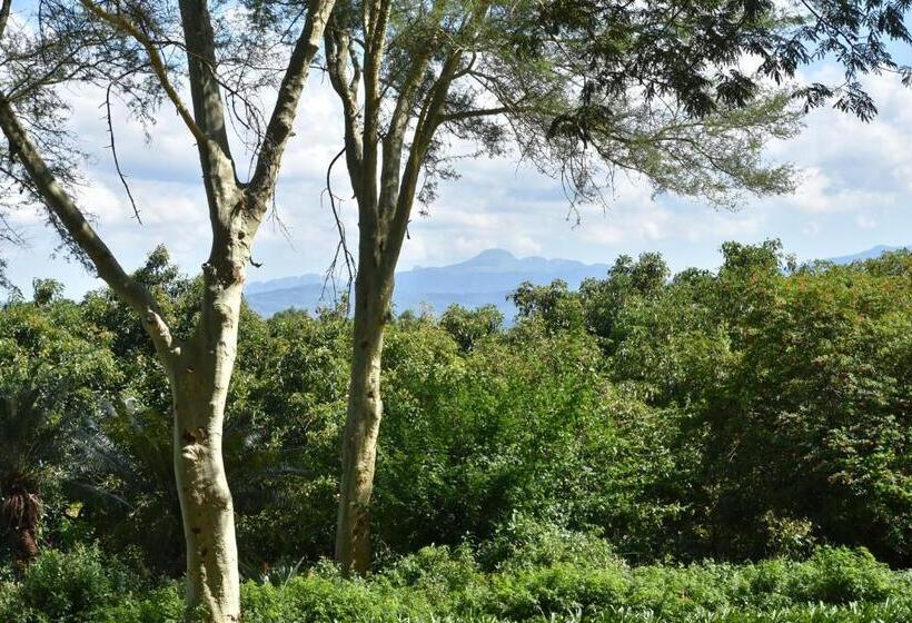 בית מלון כפרי Boschoek Farm