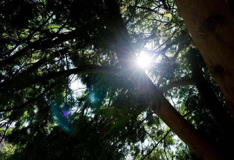 فندق Casa D´edite