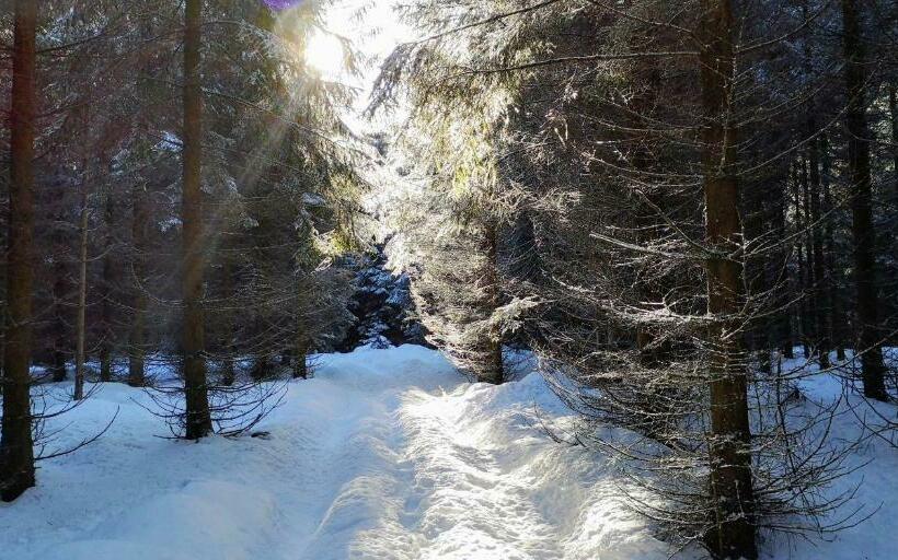 Comfort Hotel Garni Schierker Waldperle   Inklusive Wellness