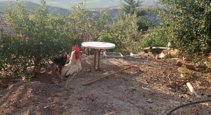 هتل Farm Stay Mharchen