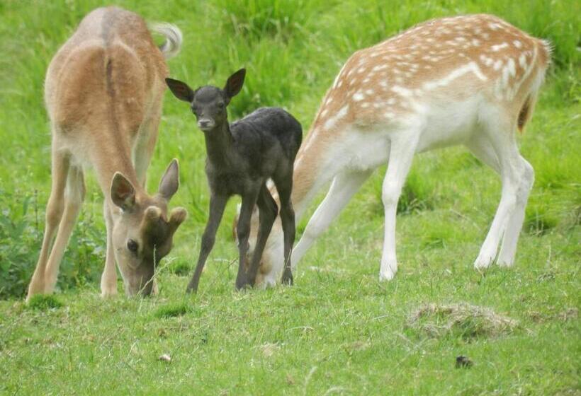 酒店 Jelenov Breg Pod Matajurem