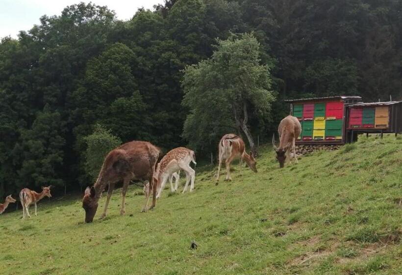 酒店 Jelenov Breg Pod Matajurem