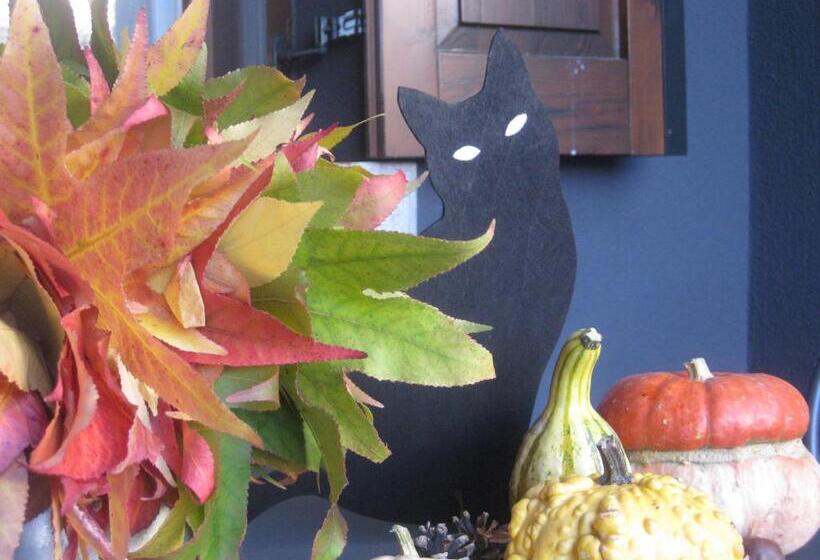 膳宿费 A Cjase Di Lise