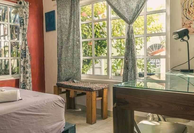 פנסיון Casa Del Pintor Chetumal