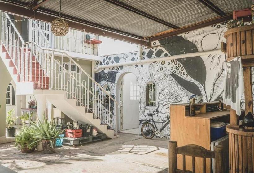 פנסיון Casa Del Pintor Chetumal