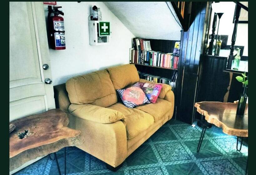 פנסיון Casa Del Pintor Chetumal