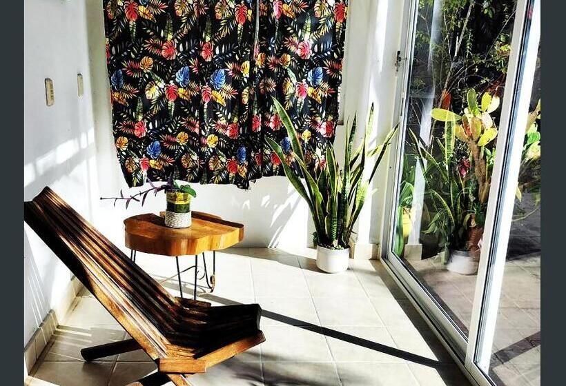 פנסיון Casa Del Pintor Chetumal