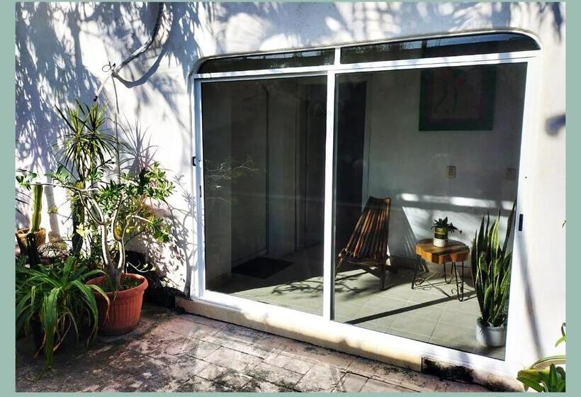 פנסיון Casa Del Pintor Chetumal