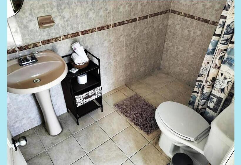 פנסיון Casa Del Pintor Chetumal