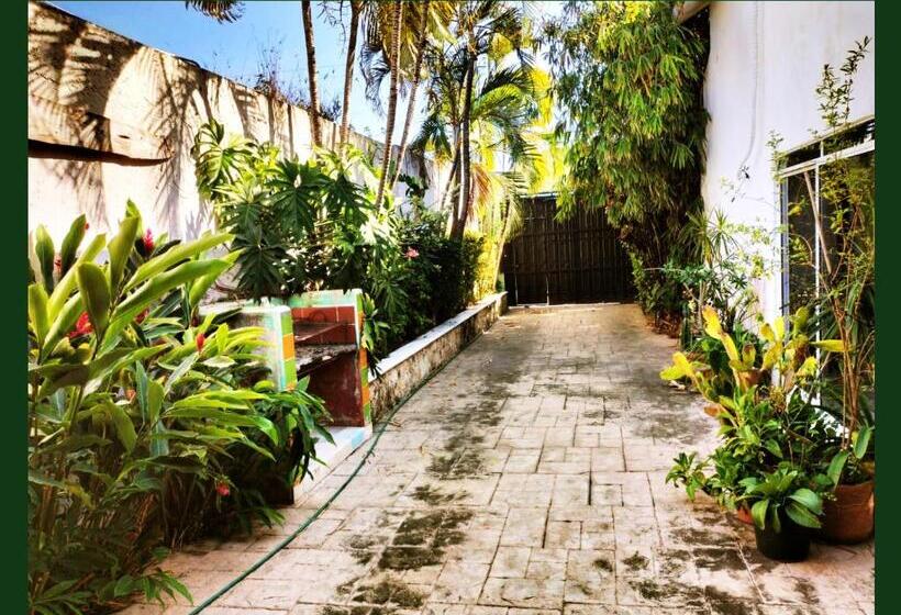 פנסיון Casa Del Pintor Chetumal