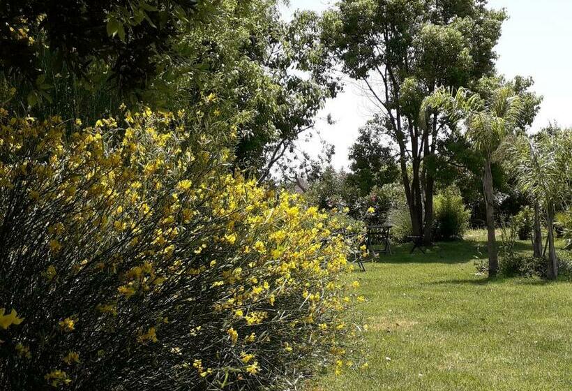 פנסיון Casetta Vacanza In Campagna