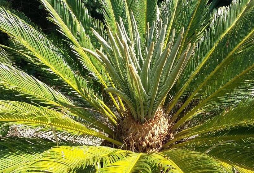 بنسيون Casetta Vacanza In Campagna