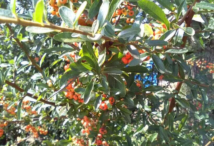 بنسيون Casetta Vacanza In Campagna