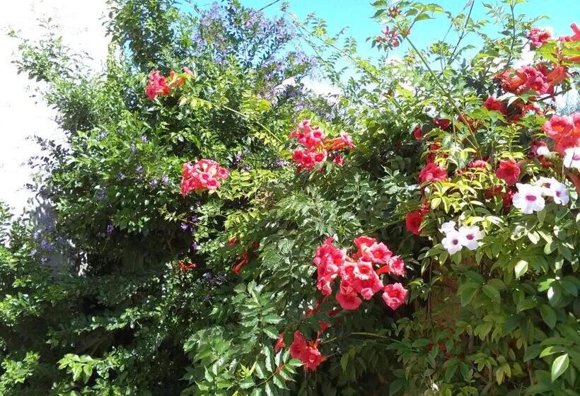 פנסיון Casetta Vacanza In Campagna