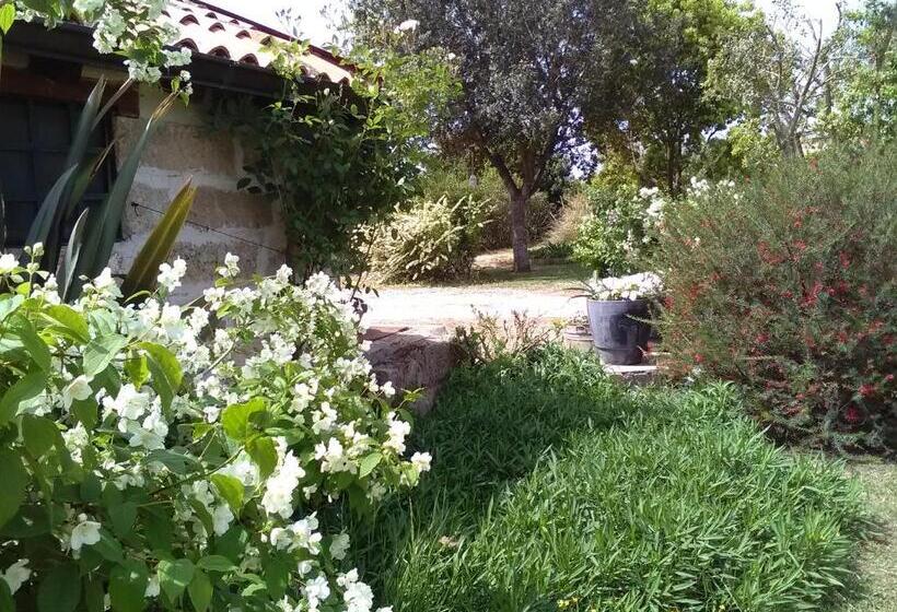 פנסיון Casetta Vacanza In Campagna