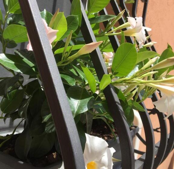 פנסיון Da Mattia