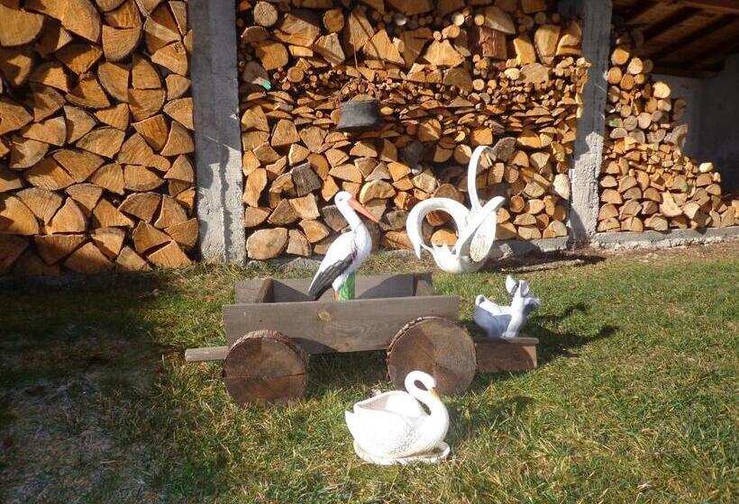 بنسيون Family Hotel Ecorelax