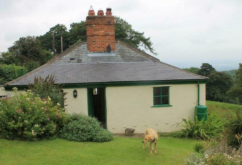 Пансион Glyn Arthur Lodge